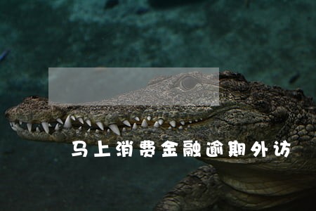 马上消费金融逾期外访 马上消费金融逾期外访