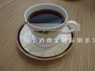 马上消费金融逾期多久上门催收 马上消费金融逾期多久上门催收