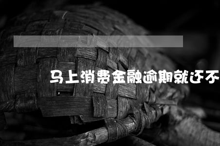马上消费金融逾期就还不了吗 马上消费金融逾期就还不了吗