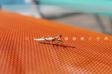 马上消费金融逾期已经两年 马上消费金融逾期已经两年