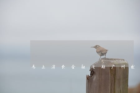 马上消费金融逾期广川发律师函 马上消费金融逾期广川发律师函
