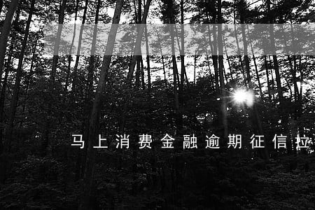 马上消费金融逾期征信拉黑 马上消费金融逾期征信拉黑