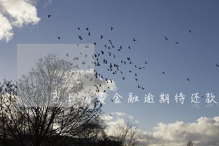 马上消费金融逾期待还款照片 马上消费金融逾期待还款照片
