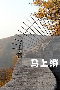 马上消费金融逾期律师函 马上消费金融逾期律师函