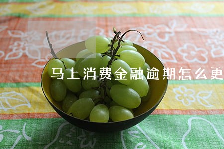 马上消费金融逾期怎么更新征信 马上消费金融逾期怎么更新征信