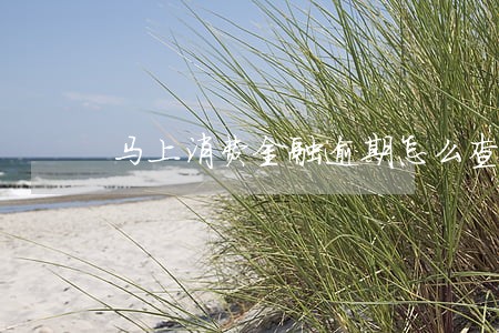 马上消费金融逾期怎么查看 马上消费金融逾期怎么查看