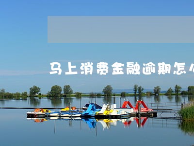 马上消费金融逾期怎么算利息 马上消费金融逾期怎么算利息