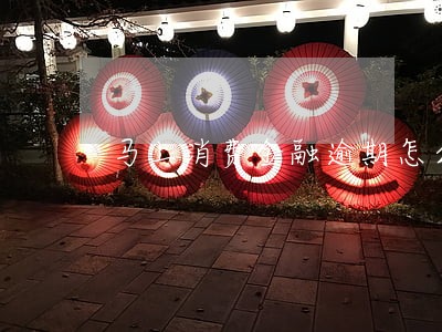 马上消费金融逾期怎么联系还款 马上消费金融逾期怎么联系还款