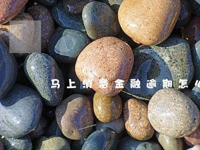 马上消费金融逾期怎么计算 马上消费金融逾期怎么计算