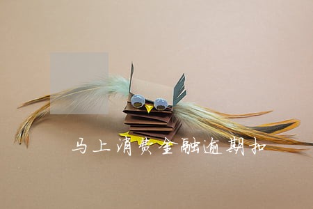 马上消费金融逾期扣