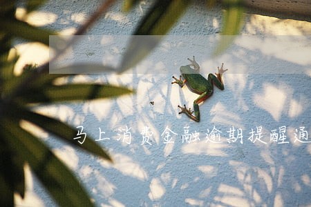 马上消费金融逾期提醒通知书 马上消费金融逾期提醒通知书