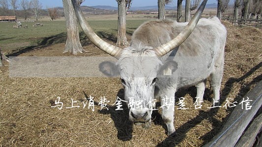 马上消费金融逾期是否上征信 马上消费金融逾期是否上征信