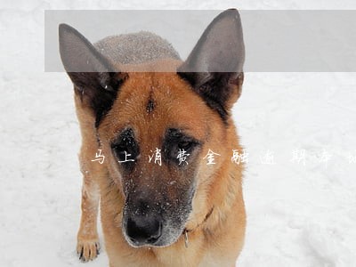 马上消费金融逾期本地诉讼
