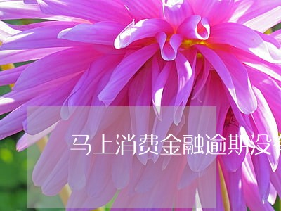 马上消费金融逾期没有打电话 马上消费金融逾期没有打电话