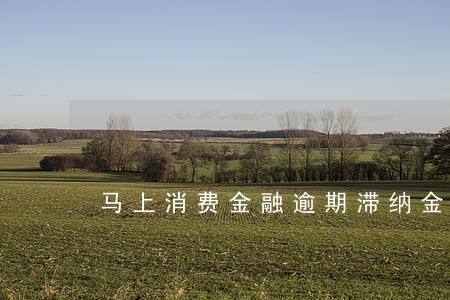 马上消费金融逾期滞纳金 马上消费金融逾期滞纳金