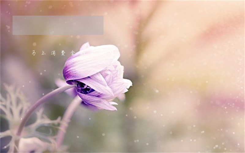 马上消费金融逾期爆 马上消费金融逾期爆