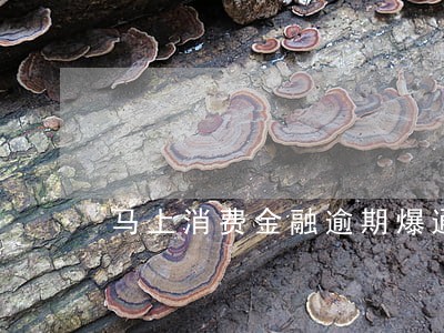 马上消费金融逾期爆通讯录 马上消费金融逾期爆通讯录