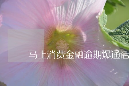 马上消费金融逾期爆通话记录 马上消费金融逾期爆通话记录