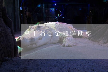 马上消费金融逾期率 马上消费金融逾期率