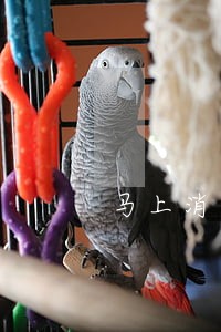 马上消费金融逾期第三天 马上消费金融逾期第三天