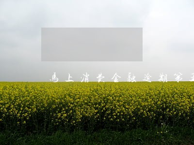 马上消费金融逾期第五天 马上消费金融逾期第五天