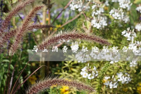 马上消费金融逾期被告是真的吗 马上消费金融逾期被告是真的吗