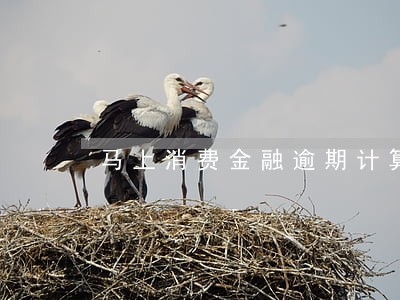 马上消费金融逾期计算方式 马上消费金融逾期计算方式