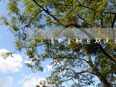 马上消费金融逾期说要立案