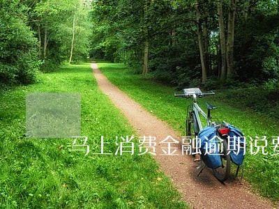 马上消费金融逾期说要网络公布 马上消费金融逾期说要网络公布
