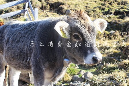 马上消费金融逾期说要走司法程序