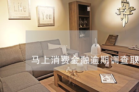 马上消费金融逾期调查取证