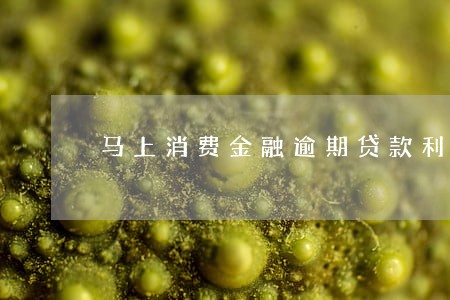马上消费金融逾期贷款利率 马上消费金融逾期贷款利率
