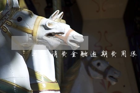 马上消费金融逾期费用很高 马上消费金融逾期费用很高