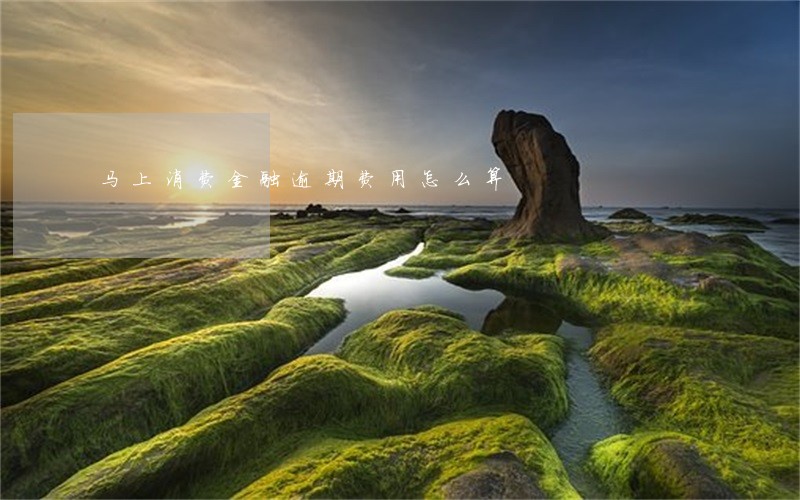 马上消费金融逾期费用怎么算 马上消费金融逾期费用怎么算
