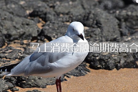 马上消费金融逾期费高合法吗 马上消费金融逾期费高合法吗