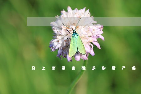 马上消费金融逾期资产保全 马上消费金融逾期资产保全