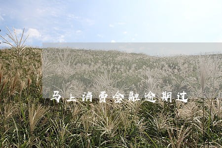 马上消费金融逾期过 马上消费金融逾期过