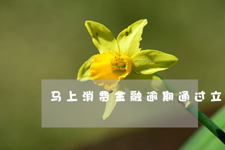 马上消费金融逾期通过立案审核 马上消费金融逾期通过立案审核