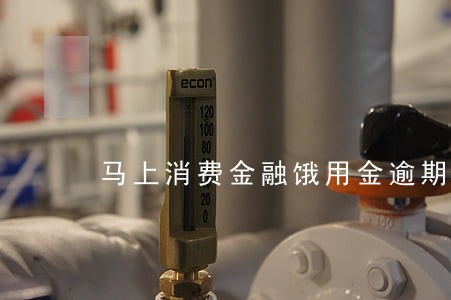 马上消费金融饿用金逾期 马上消费金融饿用金逾期