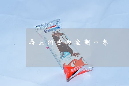 马上消费金逾期一年 马上消费金逾期一年