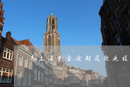 马上消费金逾期还款流程 马上消费金逾期还款流程