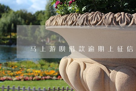 马上游呗借款逾期上征信吗 马上游呗借款逾期上征信吗