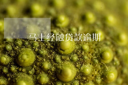 马上经融贷款逾期 马上经融贷款逾期