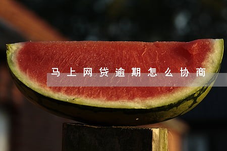 马上网贷逾期怎么协商 马上网贷逾期怎么协商