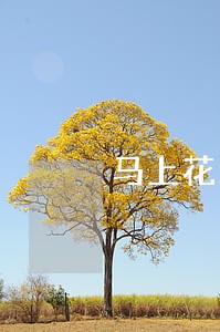 马上花三天算逾期吗 马上花三天算逾期吗