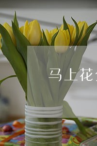 马上花分期逾期会上征信吗 马上花分期逾期会上征信吗