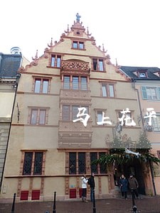 马上花平台关闭了导致逾期怎么办 马上花平台关闭了导致逾期怎么办