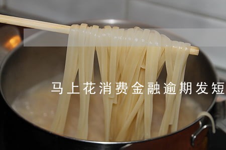马上花消费金融逾期发短信 马上花消费金融逾期发短信