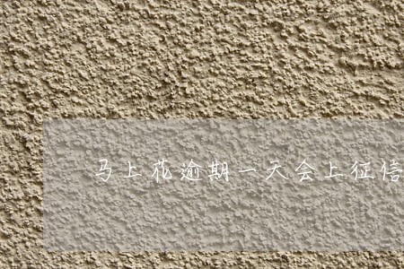 马上花逾期一天会上征信吗 马上花逾期一天会上征信吗