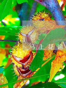 马上花逾期三天会被代偿吗 马上花逾期三天会被代偿吗